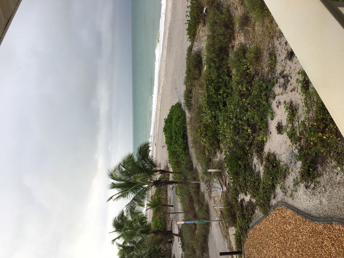 Quiet Gulf beach behind Coquina Cove